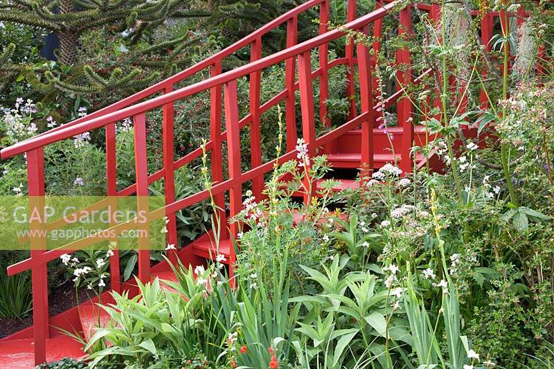 The Trailfinders 'Undiscovered Latin America' Garden, view of the planting by the red walkway which includes Valeriana officinalis, Sisyrinchium striatum and Libertia grandiflora and Tillandsia usneoides - Sponsor: Trailfinders.
