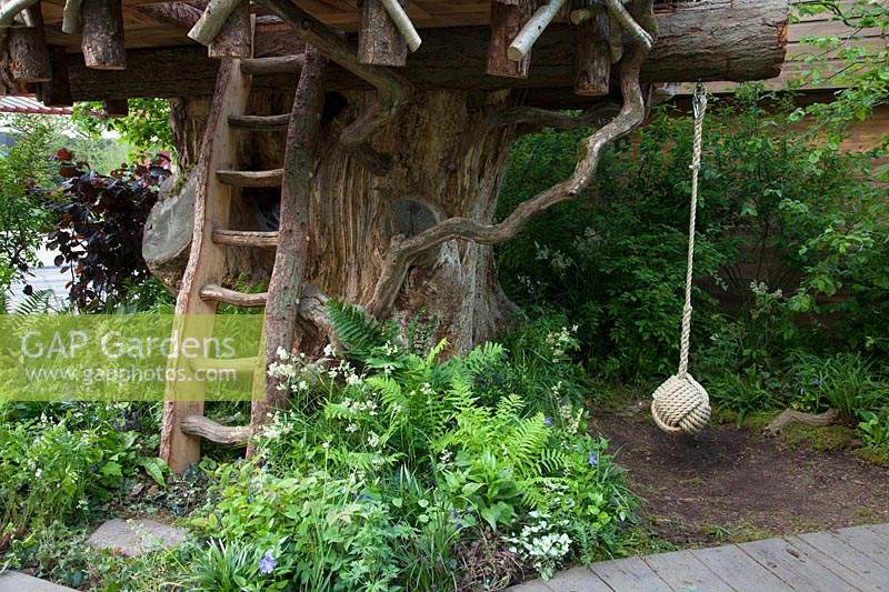 The RHS Back to Nature Garden, view of the treehouse with its ladder and rope, it is underplanted with ferns, Dryopteris filix-mas and Athyrium filix-femina,  Luzula nivea, Lamium and Vinca. RHS Chelsea Flower Show 2019.