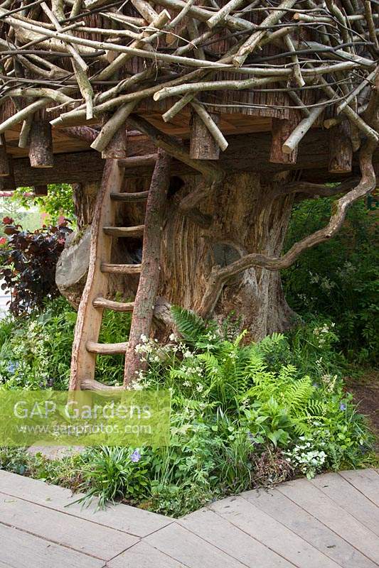 Photographer: Annaick Guitteny -The RHS Back to Nature Garden, view of the treehouse which is underplanted with ferns, Dryopteris filix-mas and Athyrium filix-femina,  Luzula nivea, Lamium and Vinca. RHS Chelsea Flower Show 2019.