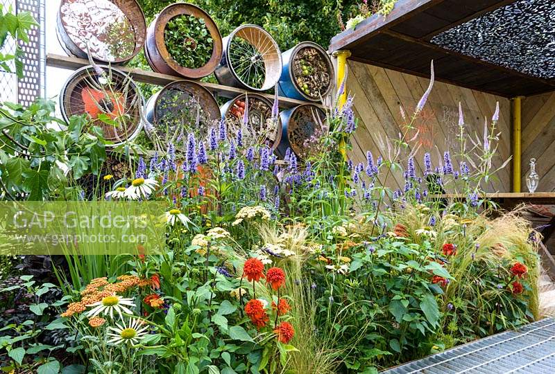 Space to Connect and Grow - RHS Hampton Court Flower Show
