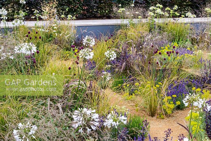 Mixed planting among  water pools - The One Show Garden - RHS Hampton Court Flower Show 2014 