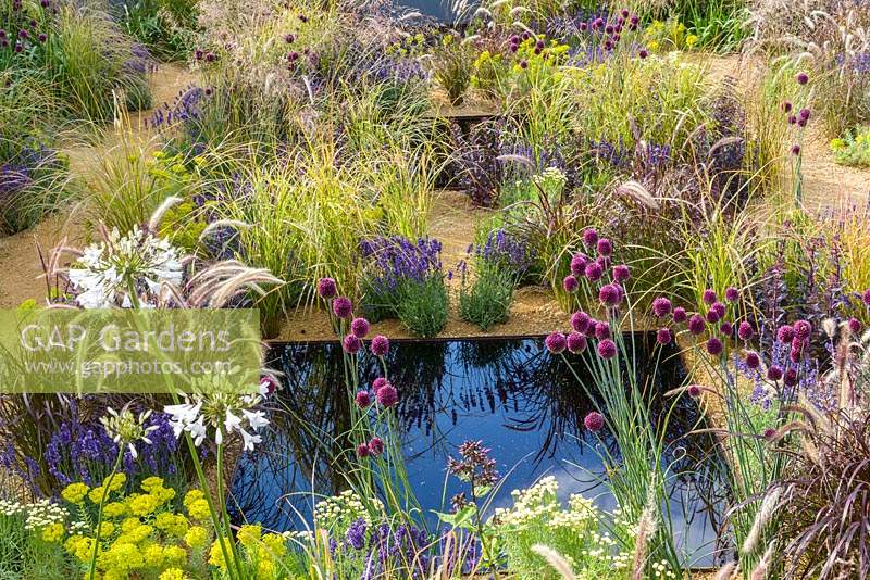 Mixed planting among water pools - The One Show Garden - RHS Hampton Court Flower Show 2014   