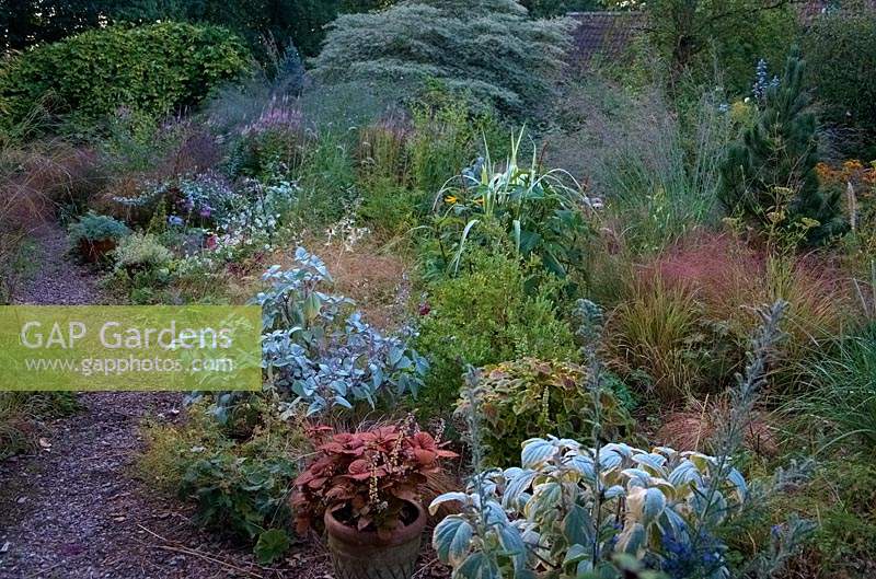 Holbrook Garden - early morning light with 11 pots of plants placed within the plantings to add more interest.