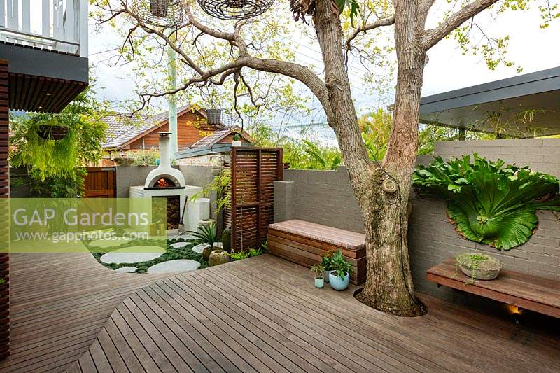 A wide view of a backyard, with a  cement rendered pizza oven in the back corner part hidden a slat hardwood timber screen and groups of pots and a Jacaranda tree growing through the deck.