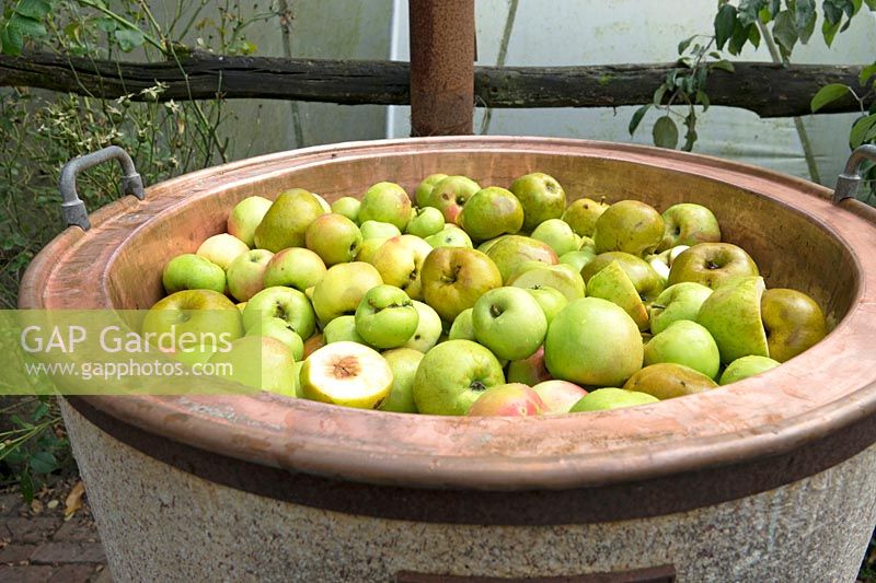 Apples and pears in copper boiler ready to boil.