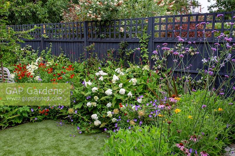 Contemporary garden in West London - borders with Verbena bonariensis, Echinacea Magnus Superior, Helenium Moerheim Beauty, towards artificial lawn.