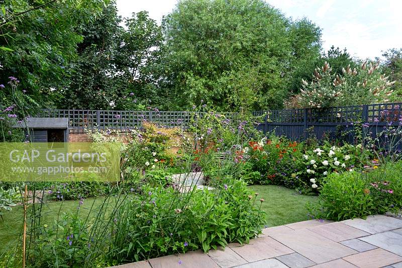Contemporary garden in West London - view from stone paving patio through borders with Verbena bonariensis, Echinacea Magnus Superior, Helenium Moerheim Beauty, towards artificial lawn.