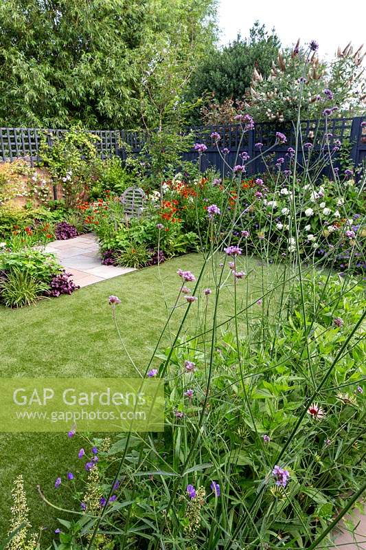 Contemporary garden in West London - view through borders with Verbena bonariensis, Echinacea Magnus Superior, Helenium Moerheim Beauty, towards artificial lawn.