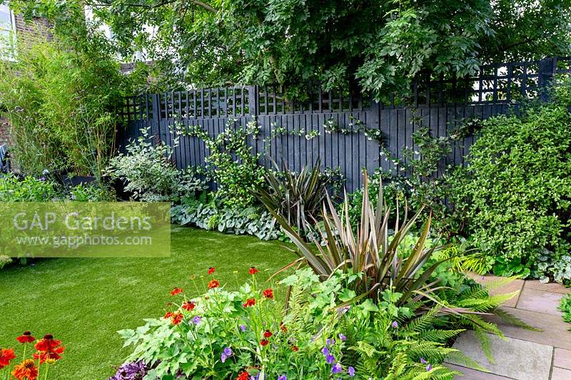 Contemporary garden in West London with artificial lawn and grey painted fence with trellis - view through borders with Phornium Queen, Helenium Moerheim Beauty, Geranium Rozanne, Polystichum setiferum Herranhausen.