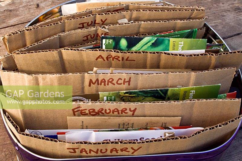 Seed packets stored by month