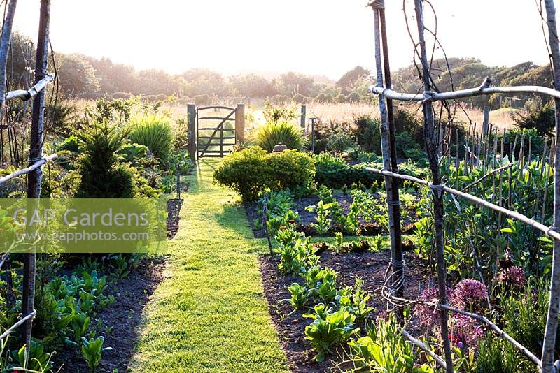 A grass path through the vegetable garden leads to a simple paling gate leading into the meadow at Sea View, Cornwall, UK in June.