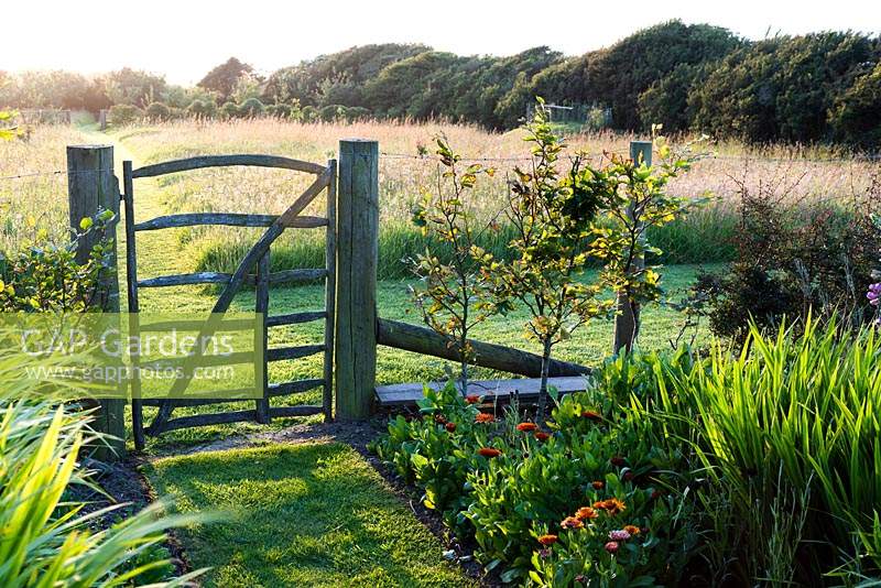 Simple paling gate leading from the vegetable garden into the meadow at Sea View, Cornwall, UK in June.