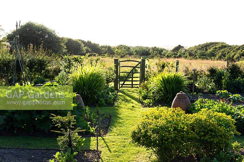 Simple paling gate leading out of the kitchen garden into the meadow at Sea View, Cornwall, UK in June.