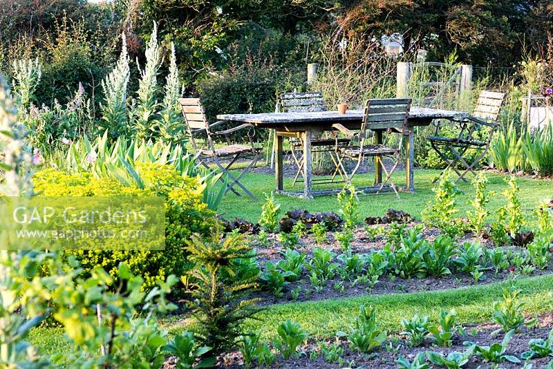 Dining area in the vegetable garden with lichen encrusted table and chairs at Sea View, Cornwall, UK in June.