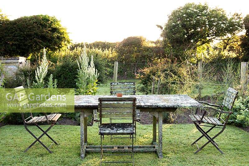 Lichen encrusted table and chairs at the centre of the vegetable garden at Sea View, Cornwall in June