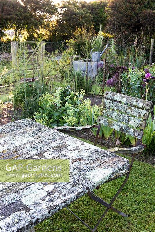 Lichen encrusted table and chairs at the centre of the vegetable garden at Sea View, Cornwall in June.