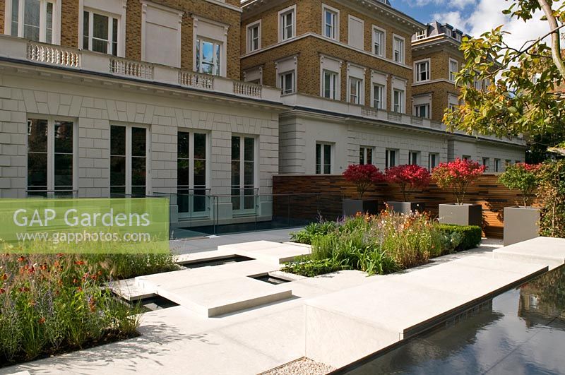 Modern London garden, with containers of shrubs showing autumn colour. 