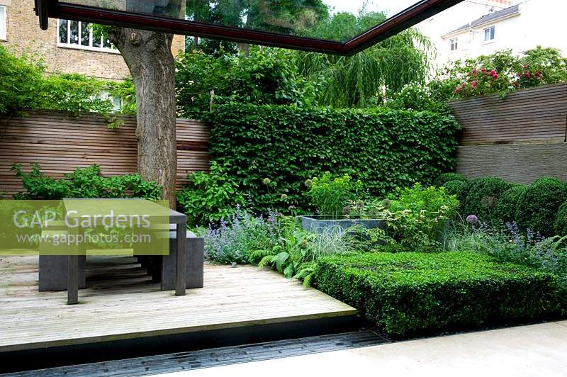 Small garden enclosed by horizontal fencing, view of wooden deck with modern, concrete dining table and stools. Water trough surrounded by flowering perennials and Buxus - Box - topiary nearby
