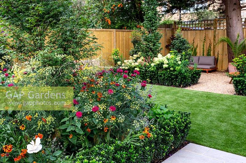 West London garden with artificial lawn. With a border featuring Monarda Fire Ball, Acer palmatum, Helenium Moerheim Beauty, Euonymus Jean Hughes, Rosa Renaissance.