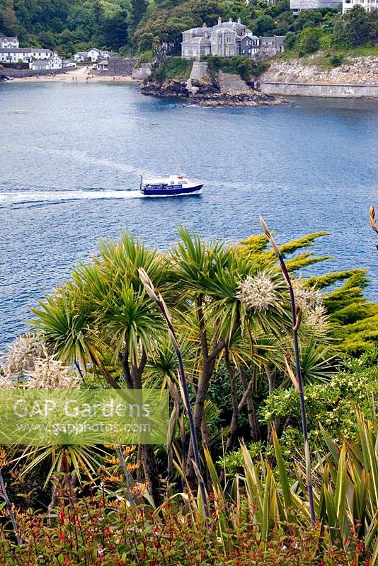 Flower spikes of Phormium tenax - New Zealand Flax and Cordyline australis -  New Zealand Cabbage Palm - with view across the water to beach 