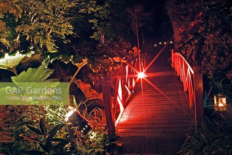 Gunnera and bridge lit by 'Electric' 'Lighting' of plants after dark at Abbotsbury sub-tropical  gardens, Dorset, England.