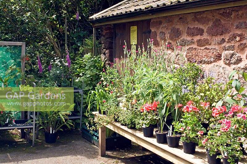 Plant sales at Bickham House, Devon, England.