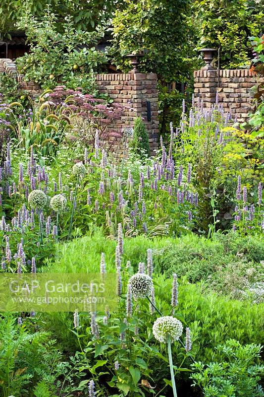 Mixed planting of herbs and vegetables in walled herb garden