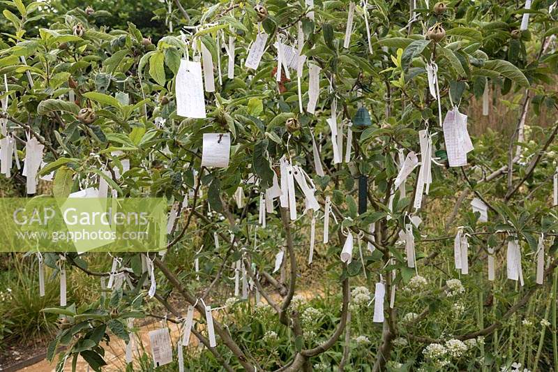 Cultiver les Reves, Grow Your Dreams, Festival International des Jardins 2019, Domaine de Chaumont sur Loire, France. Wishing tree with paper labels and wishes.