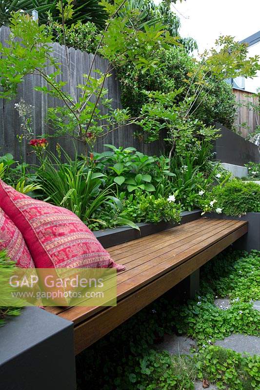 A cement rendered planter box with a hardwood timber inbuilt bench seat with two red patterned cushions, planted with Baby Panda Grass and a flowering Gardenia.