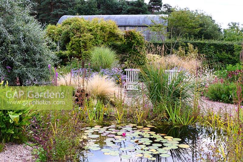 Naturalistic pool in a rural garden in Nottinghamshire surrounded by planting including Dierama pulcherrimum, Stipa tenuissima and Aster x frikartii 'Monch'.