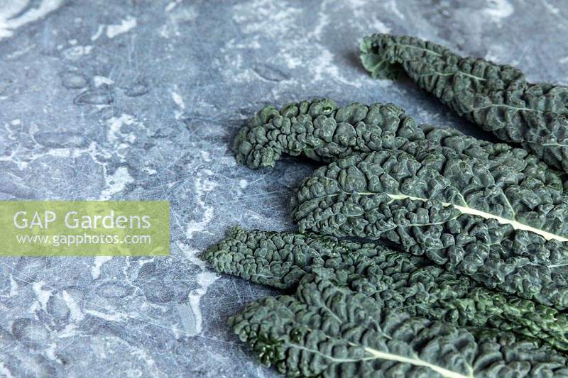 Cavolo Nero - Black Tuscan Kale - on a kitchen worktop