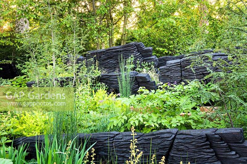 Burnt oak timbers surrounded by mixed foliage planting in woodland garden.  Sponsor: M and G, RHS Chelsea Flower Show 2019. Gold medal winner, Best Show Garden 