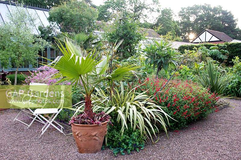 The Exotic Garden at Abbeywood Gardens. Planting includes Geranium palmatum, Salvia coccinea 'Lady in Red', Trachycarpus fortunei, Tetrapanax papyrifera and Phormium tenax 'Variegatum'.