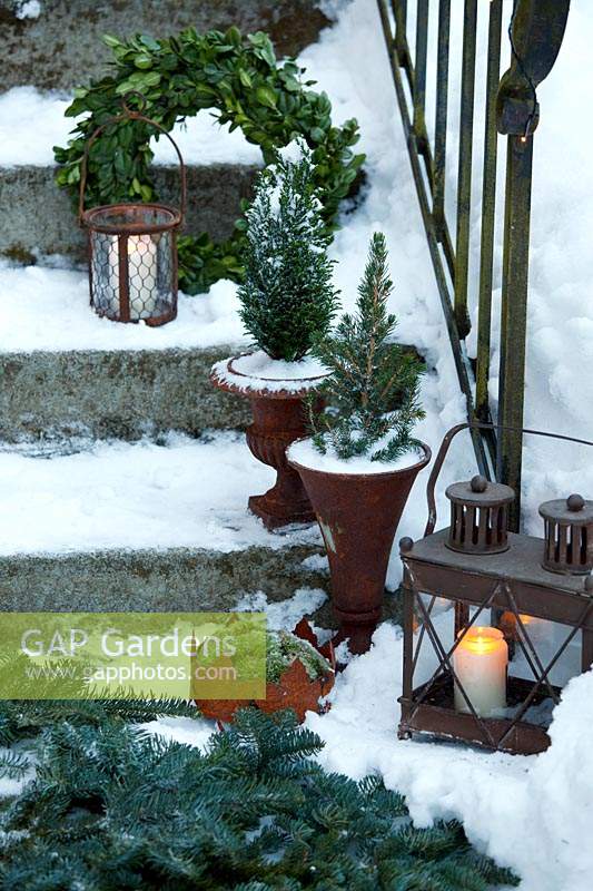 Winter decorations on steps including lit lanterns and mini christmas trees in pots