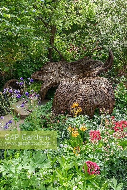 Woven willow seat, surrounded by Aquilegia, Alchemilla, Primula and a beech tree in the Breast Cancer Haven Garden - Chelsea Flower Show 2015 - Sponsor: Nelsons - Best Artisan Garden
