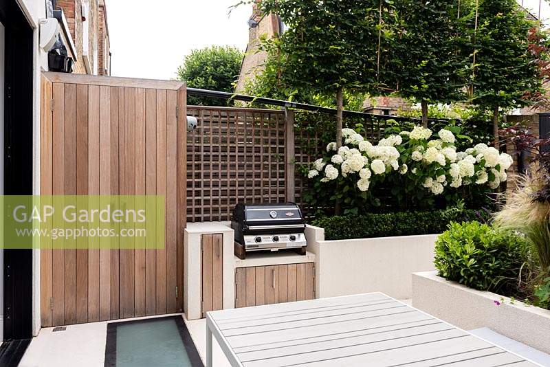 BBQ area with built in storage cupboards in cedar wood. Raised beds with Hydrangea 'Annabelle' and pleached Carpinus betulus