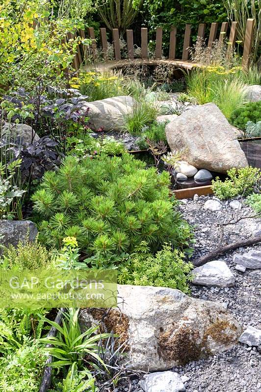 Natural rock and stone, with green foliage groundcover planting. Wooden seating with Pinus mugo, Deschampsia cespitosa, Achillea 'Moonshine', Ophiopogon planiscapus 'Nigrescens' - Through Your Eyes Garden - RHS Hampton Court Palace Garden Festival 2019. Sponsors: Kebony, CED Stone, R and G Metal Products, William's Art and Design, Practicality Brown.