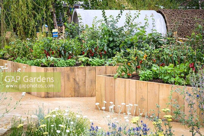 Tomatoes, aubergine and chillies in timber framed raised bed - The Thames Water Flourishing Future Garden - RHS Hampton Court Palace Garden Festival 2019.