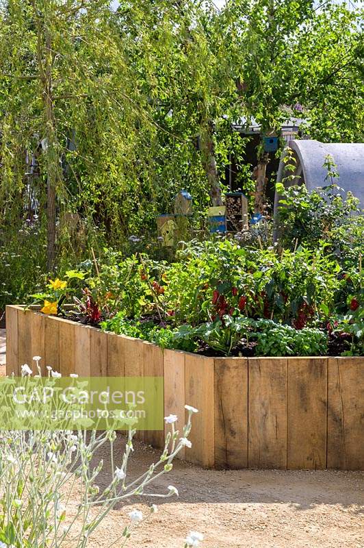 Tomatoes, aubergine and chillies in timber framed raised bed - The Thames Water Flourishing Future Garden - RHS Hampton Court Palace Garden Festival 2019 - Designer: Tom Woods
