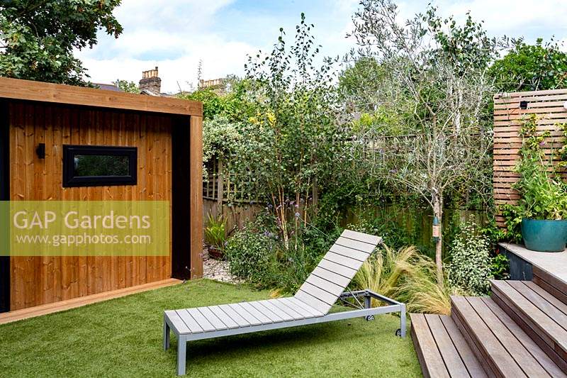 London contemporary garden - border with Betula Utilis, olive tree, Stipa tenuissima next to wooden steps leading to upper patio area. A modern sun lounger is positioned on artificial turf lawn, with wooden gym or garden room