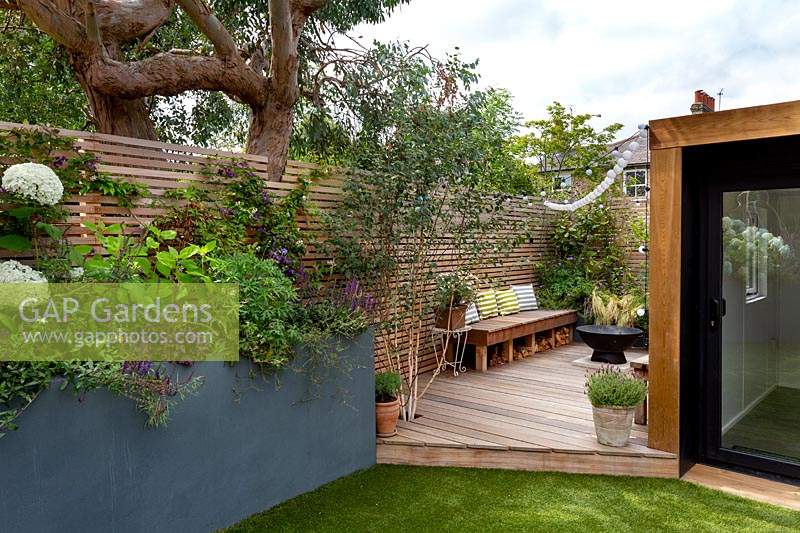 London contemporary garden - grey raised border on patio. Planting includes Heuchera berry smoothie, Salvia caradonna, Hydrangea anabelle, Geranium johnsons blue. In background a lower wood deck area with Betula utilis and wooden seat. To the right a garden room sits behind an artificial lawn.