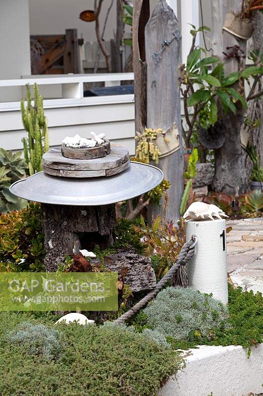 A bespoke garden feature made from wharf timbers a galvanised metal dish and ship's rope, in a garden with a dense planting of ground covers featuring Leucophyta brownii nana, Cushion Bush, with silver grey foliage.