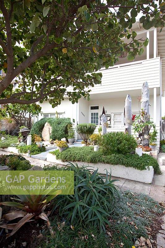 A path leading to a garden with large sculptural sandstone boulder in the front garden of a house surrounded by Pride of Maderia, three totem pole art works, a clipped rosemary plant, the garden has potted succulents in the nature strip garden are grey leaved Gazanias.