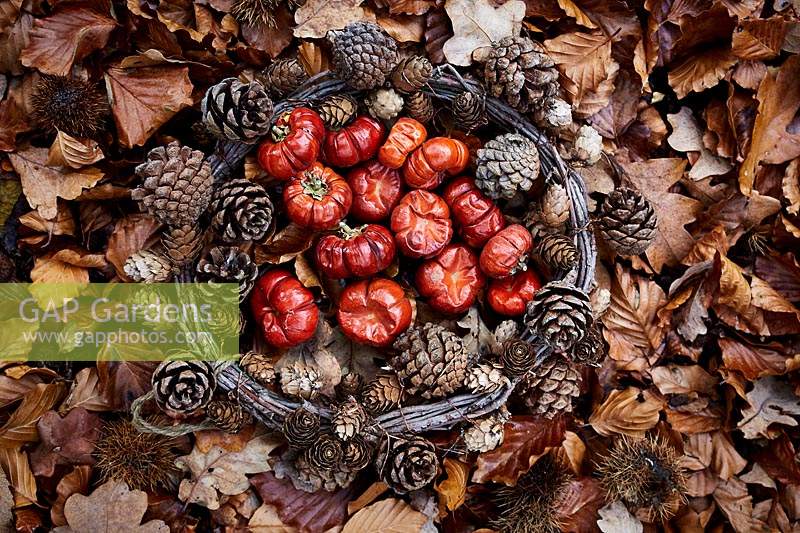 Dried mini pumpkins placed inside a wreath with pine cones on bed of dried leaves