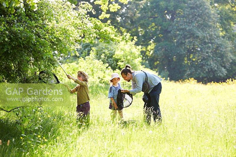 Father and children with nets trying to catch insects in meadow.