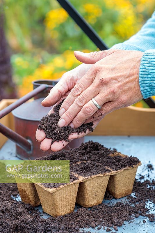 Woman adding thin layer of compost covering newly sown seeds in biodegradable pots.