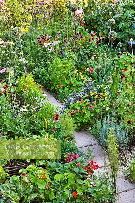 Paved path through herb beds