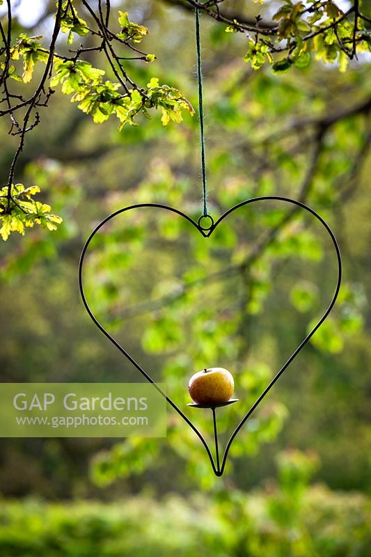Heart-shaped metal hanging bird feeder for apples or fat balls