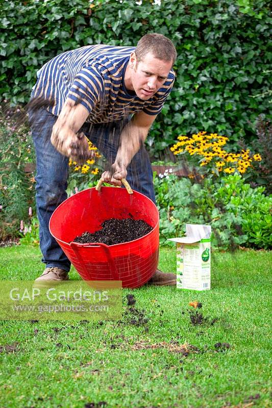 Mixing grass seed with compost and scattering it on a lawn