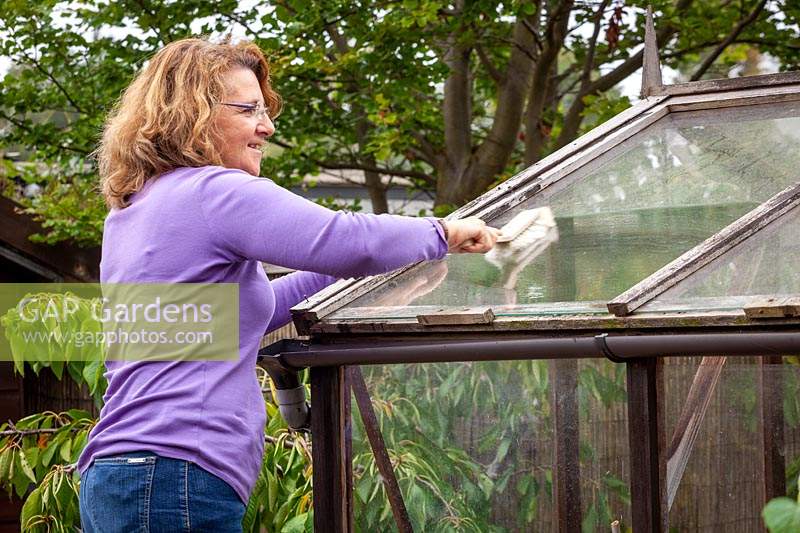 Washing dirty greenhouse glass with a hand brush